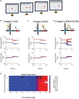 A competition framework for fixation-preference in strabismus